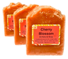 All Natural Vegan Soaps