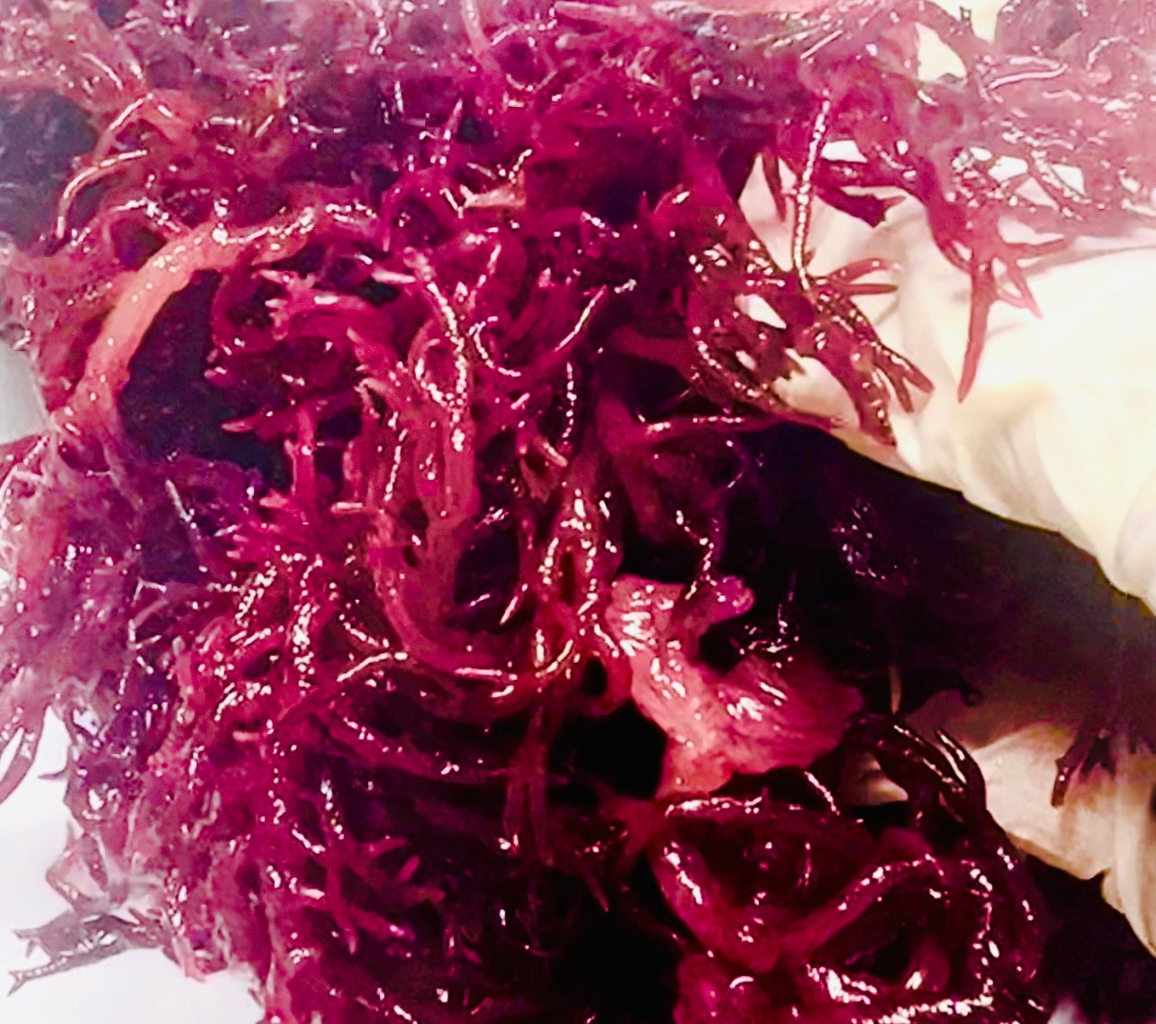 Natural Soap - Purple Sea Moss & Hibiscus Tea