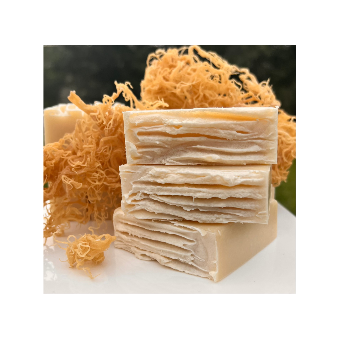 Natural Soap - Pure Sea Moss - unscented